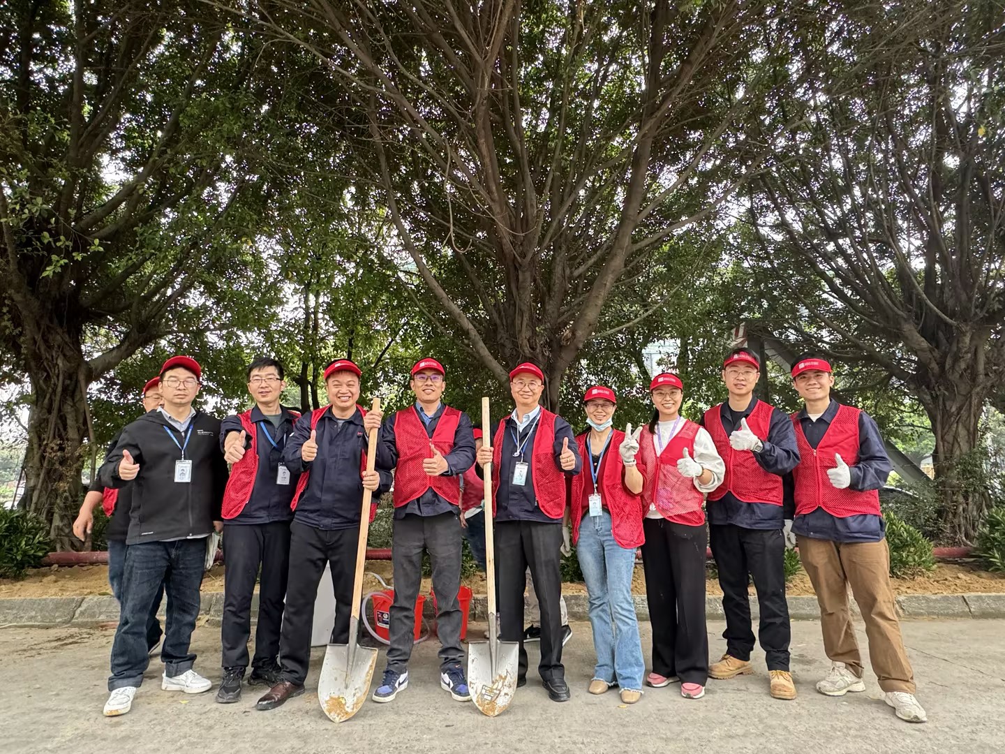 2024年Betway必威科技植一抹新绿 寄一份但愿植树节
